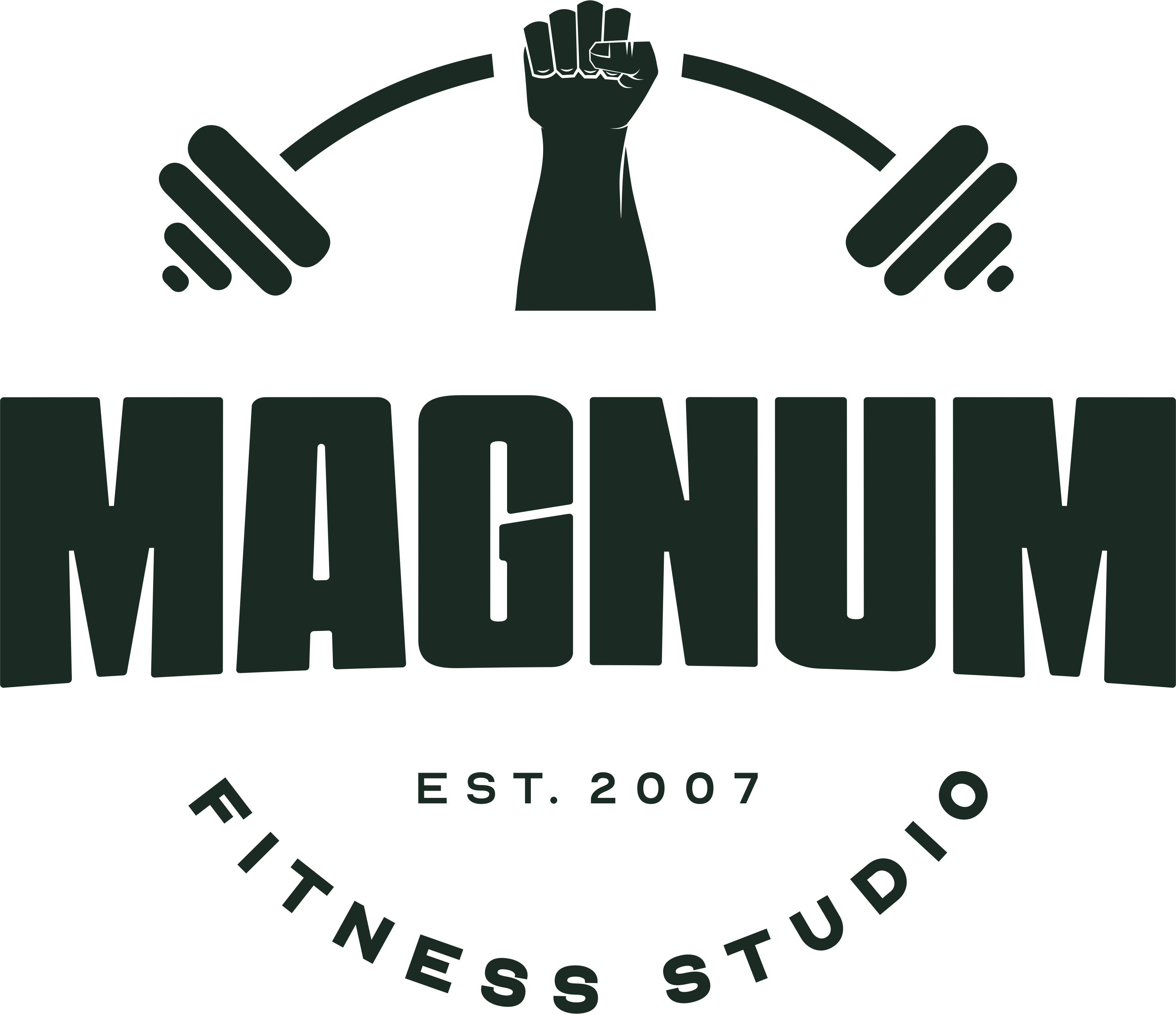 Magnum Fitness Studio